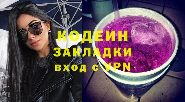 соль ск Каменногорск