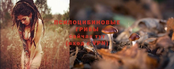 спиды Каменка