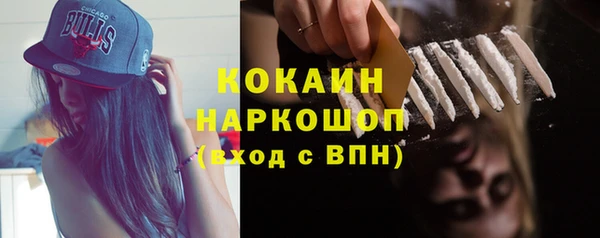 спиды Каменка