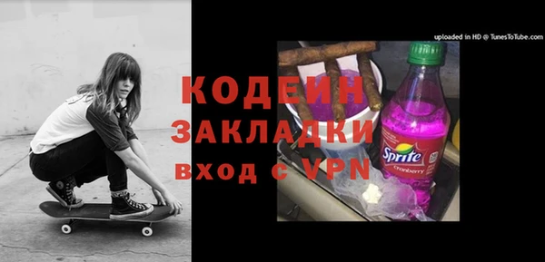 спиды Каменка