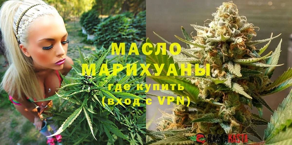 спиды Каменка