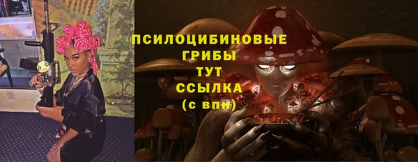 ПСИЛОЦИБИНОВЫЕ ГРИБЫ Каменск-Шахтинский