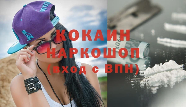 соль ск Каменногорск