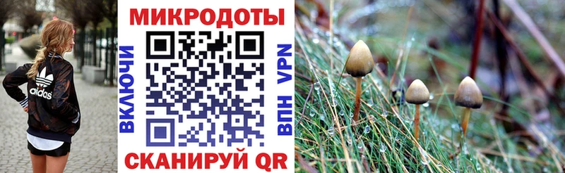 Галлюциногенные грибы GOLDEN TEACHER  Купить  Беслан 